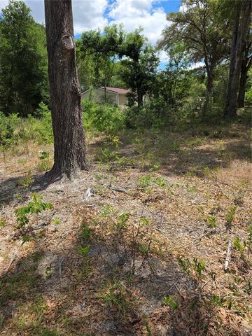 10679 SW 110TH COURT, Dunnellon, FL 34432