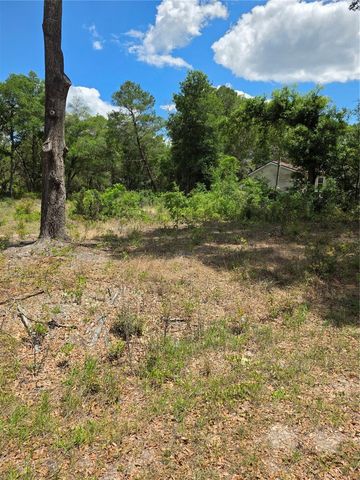 10679 SW 110TH COURT, Dunnellon, FL 34432
