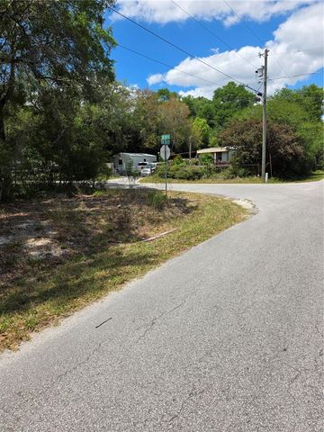 10679 SW 110TH COURT, Dunnellon, FL 34432