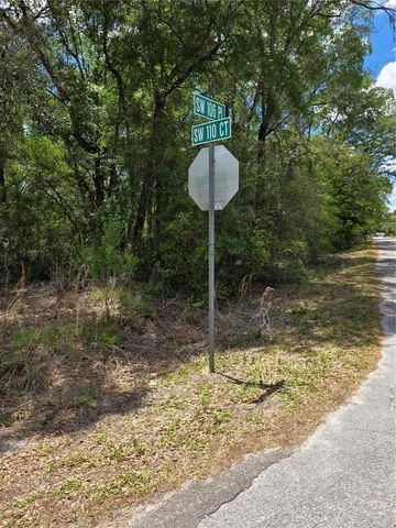 10679 SW 110TH COURT, Dunnellon, FL 34432