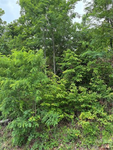 124 Devin Ridge Lane 124, Union Mills, NC 28167