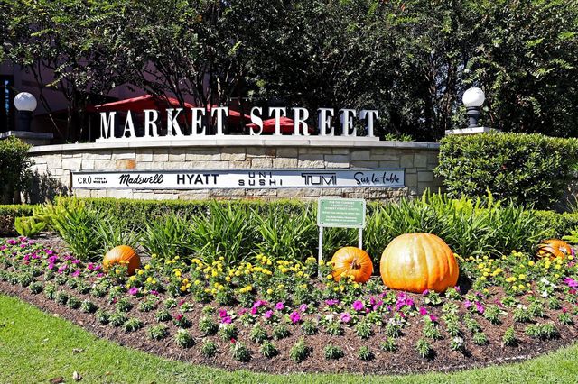 11 Kayak Ridge Drive, The Woodlands, TX 77389