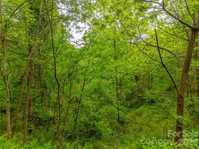 Lot 104 Campbell Mountain Drive, Waynesville, NC 28785