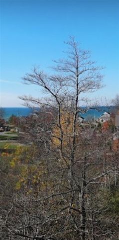 7368 Beachview Drive, South Haven, MI 49090