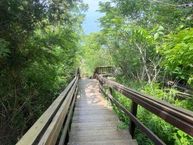 7368 Beachview Drive, South Haven, MI 49090