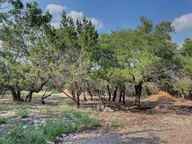 1131 Yaupon Drive, Fischer, TX 78623