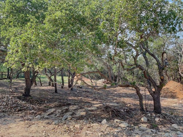 1131 Yaupon Drive, Fischer, TX 78623