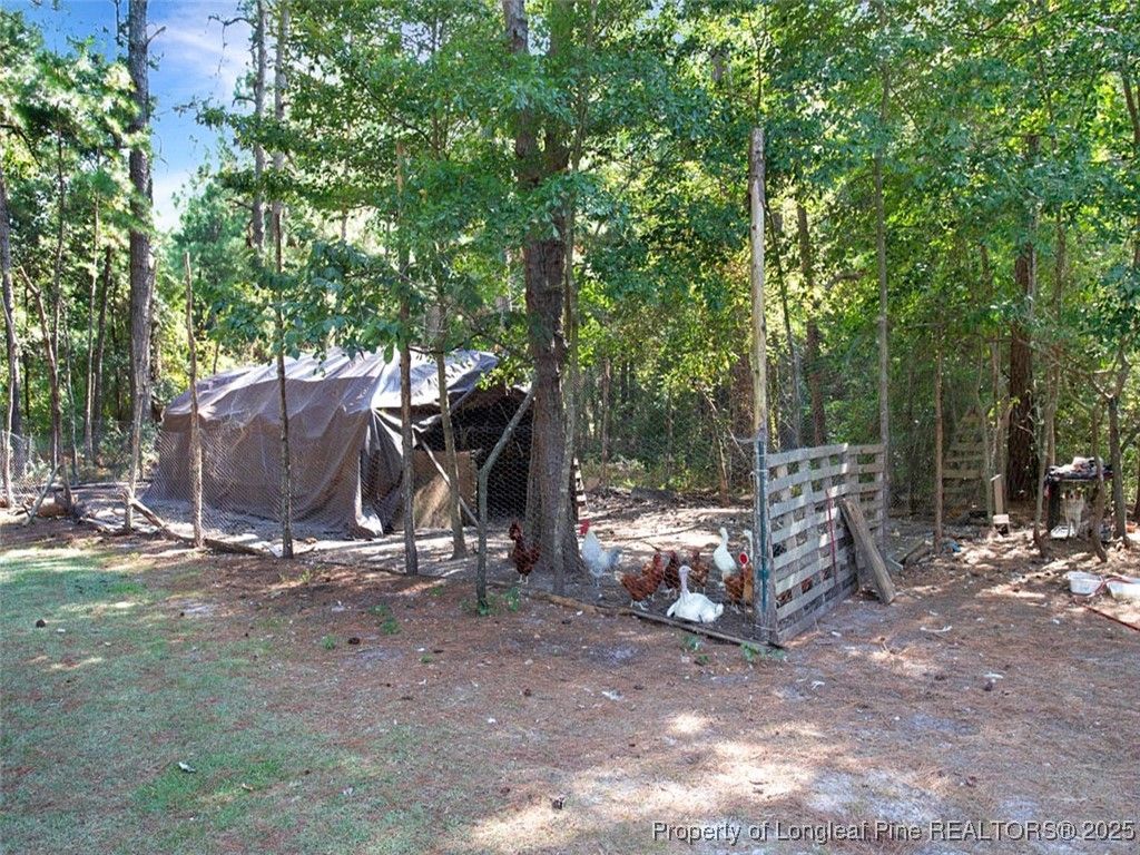 6456 Cedar Creek Road, Fayetteville, NC 28312 — photo 22