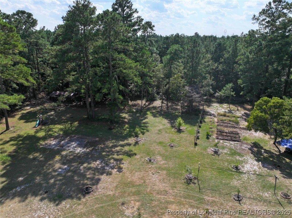 6456 Cedar Creek Road, Fayetteville, NC 28312 — photo 39