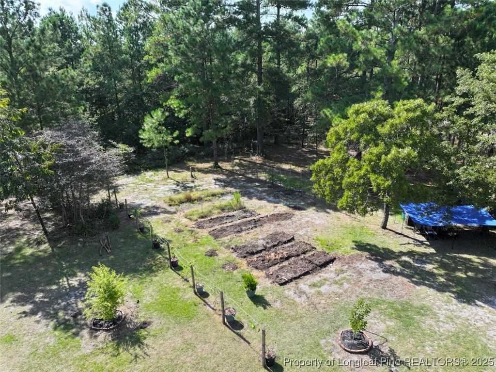 6456 Cedar Creek Road, Fayetteville, NC 28312 — photo 40