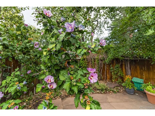 1120 Poplar Ave, Boulder, CO 80304