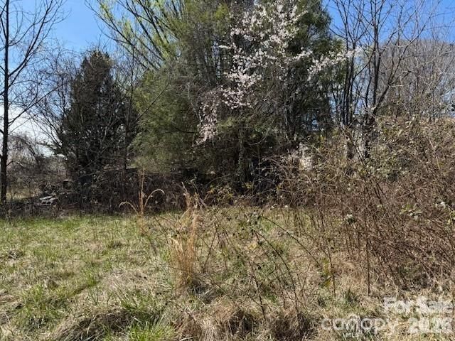 7 Pressley Branch Road, Arden, NC 28704