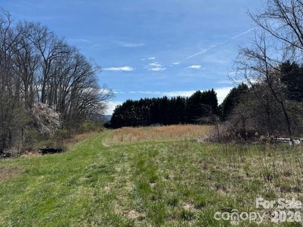 7 Pressley Branch Road, Arden, NC 28704