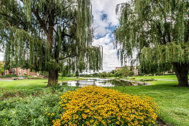 700 Wellington Avenue 409, Elk Grove Village, IL 60007