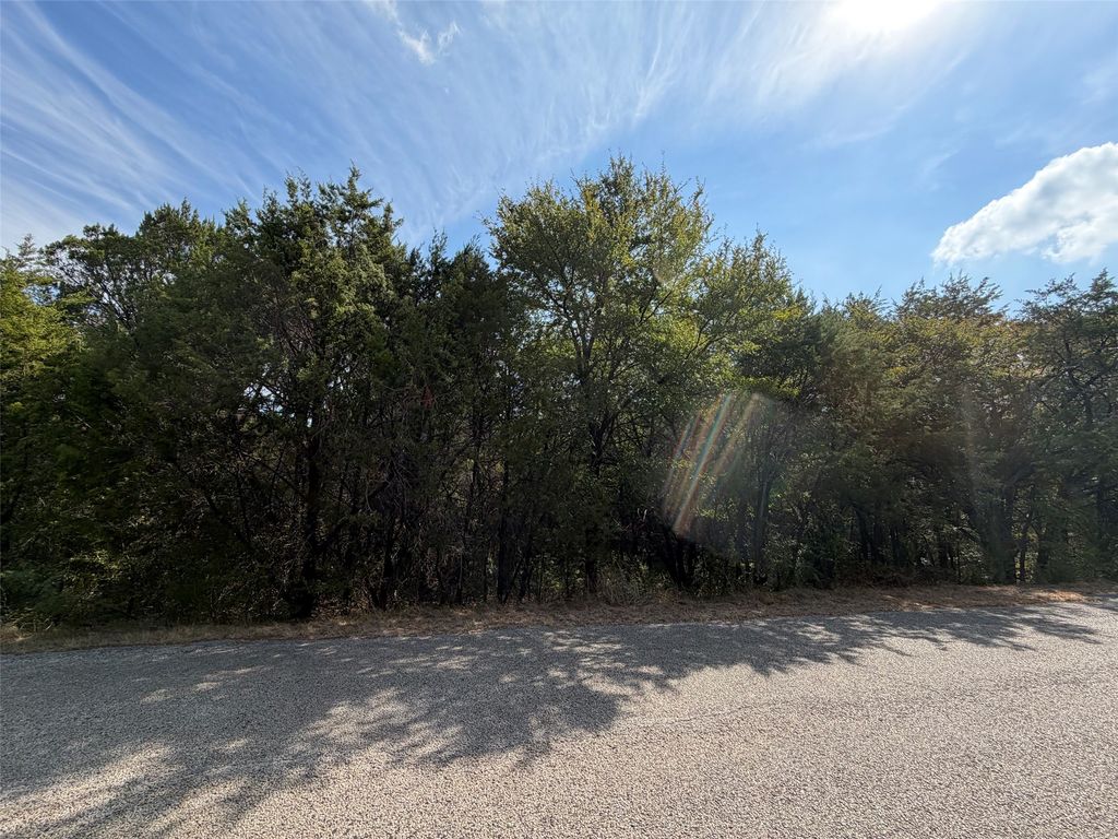 3633 Flint Rock Circle, Granbury, TX 76048