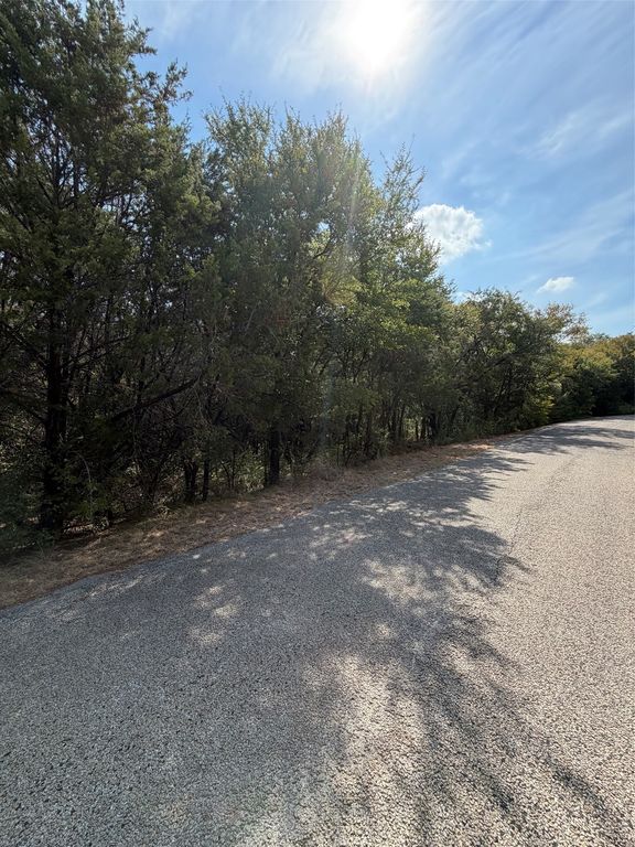 3633 Flint Rock Circle, Granbury, TX 76048 — photo 2