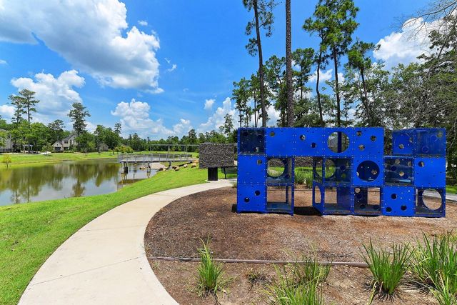 17108 Coneflower Place, Conroe, TX 77385