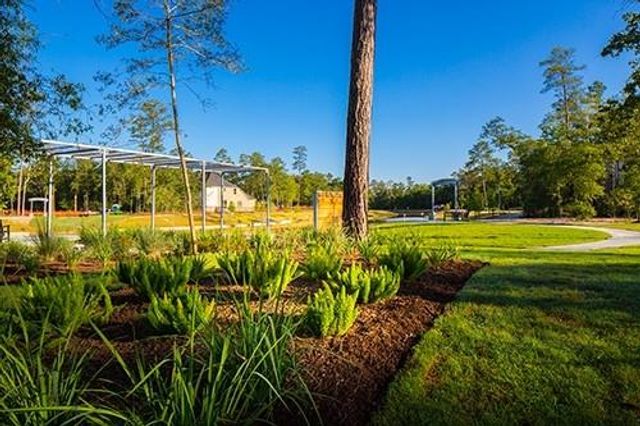 17108 Coneflower Place, Conroe, TX 77385