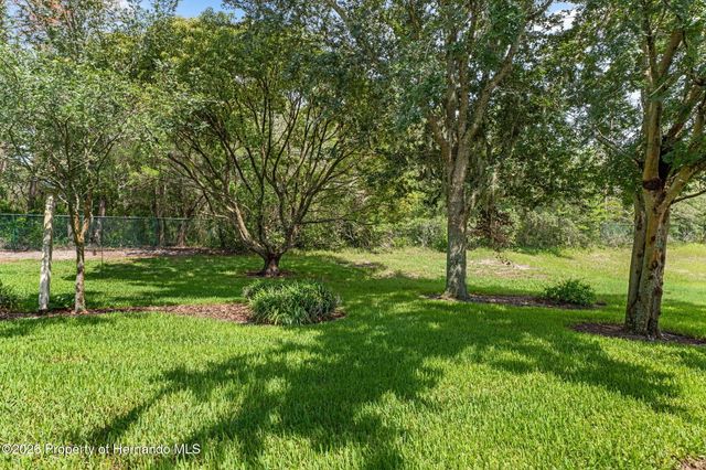 18630 Bent Pine Drive, Hudson, FL 34667