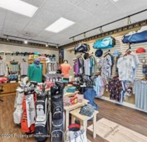 18630 Bent Pine Drive, Hudson, FL 34667