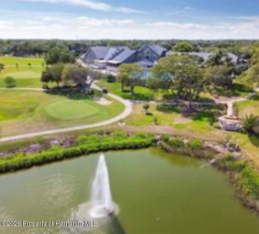 18630 Bent Pine Drive, Hudson, FL 34667
