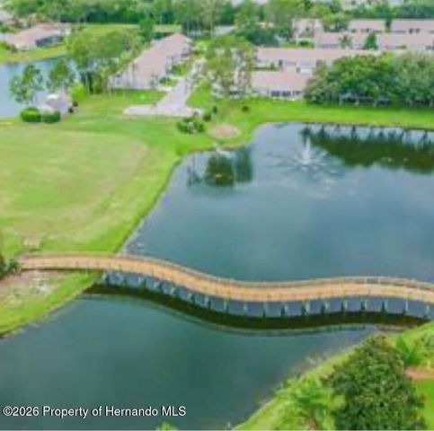 18630 Bent Pine Drive, Hudson, FL 34667