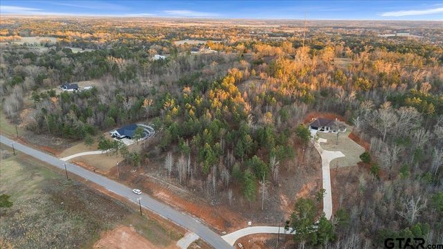 16935 Ridgeline Loop, Winona, TX 75792