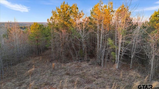 16935 Ridgeline Loop, Winona, TX 75792