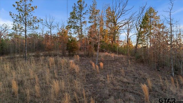 16935 Ridgeline Loop, Winona, TX 75792