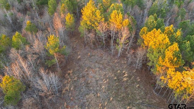 16935 Ridgeline Loop, Winona, TX 75792