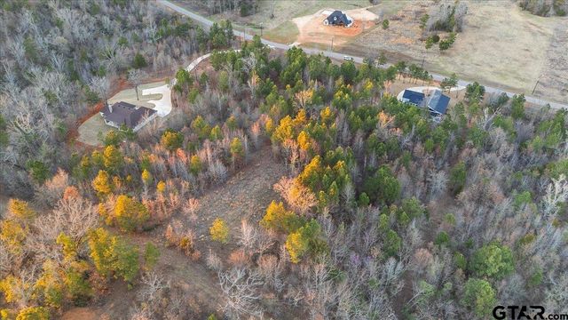 16935 Ridgeline Loop, Winona, TX 75792
