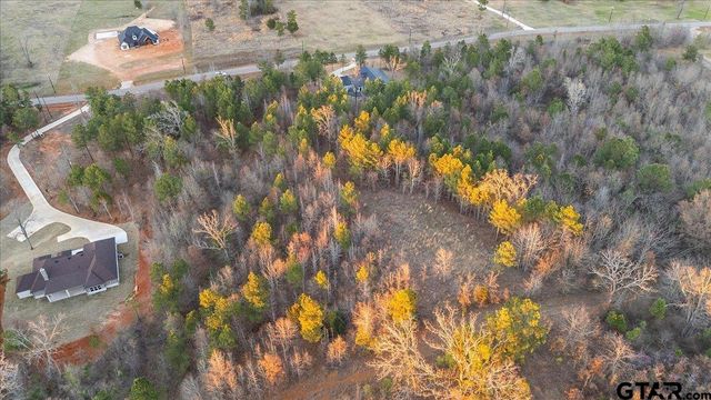 16935 Ridgeline Loop, Winona, TX 75792