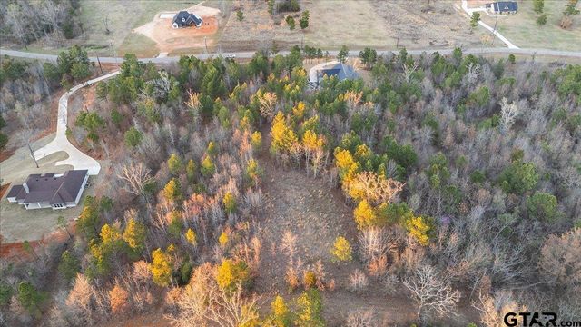 16935 Ridgeline Loop, Winona, TX 75792