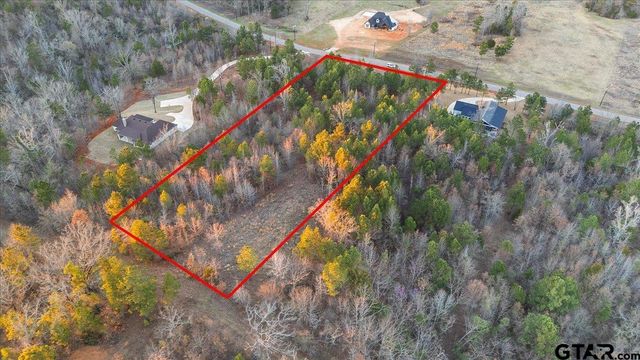 16935 Ridgeline Loop, Winona, TX 75792
