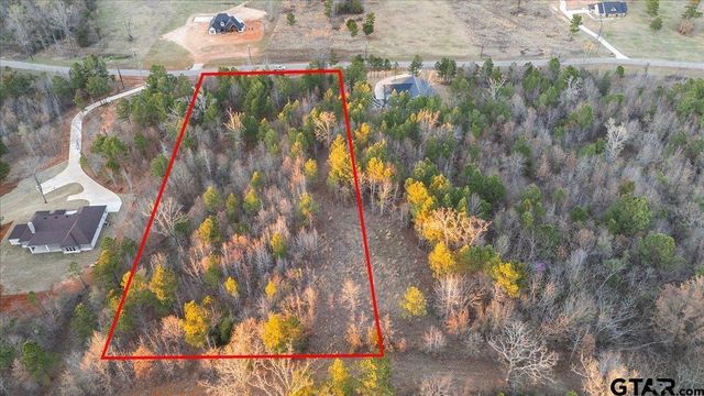 16935 Ridgeline Loop, Winona, TX 75792