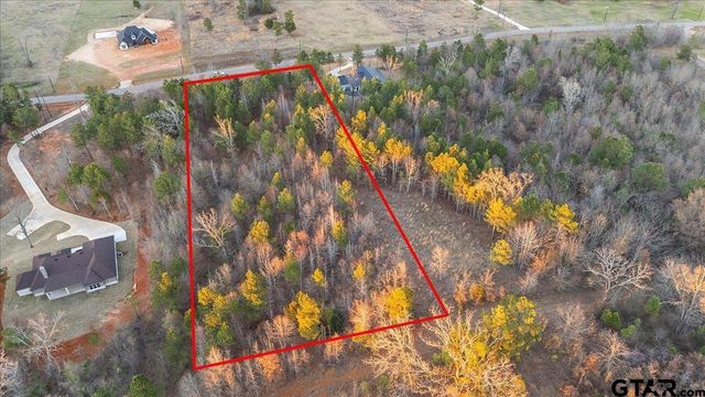 16935 Ridgeline Loop, Winona, TX 75792