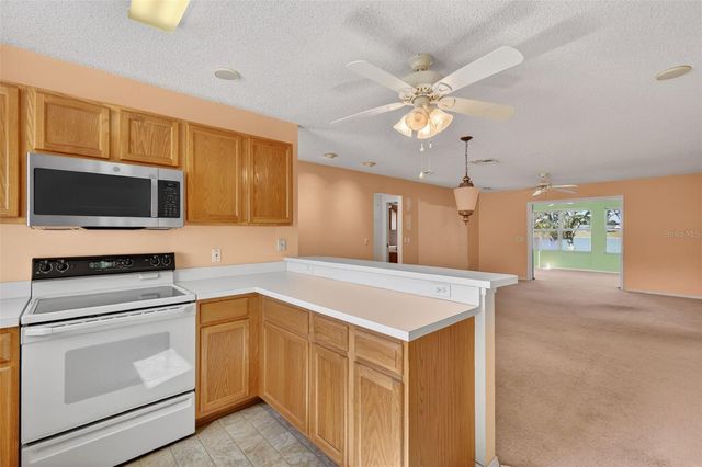 930 CAMINO DEL REY DRIVE, The Villages, FL 32159