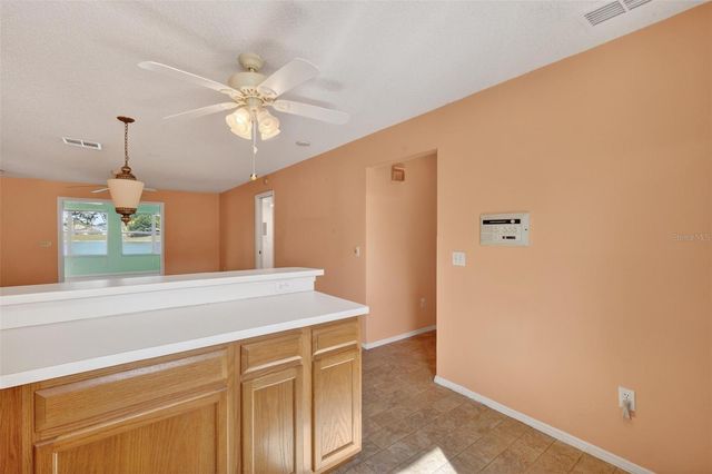 930 CAMINO DEL REY DRIVE, The Villages, FL 32159