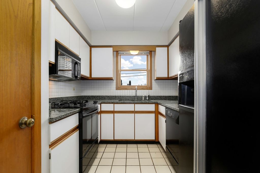 812 S Miller Street 3N, Chicago, IL 60607 — photo 3