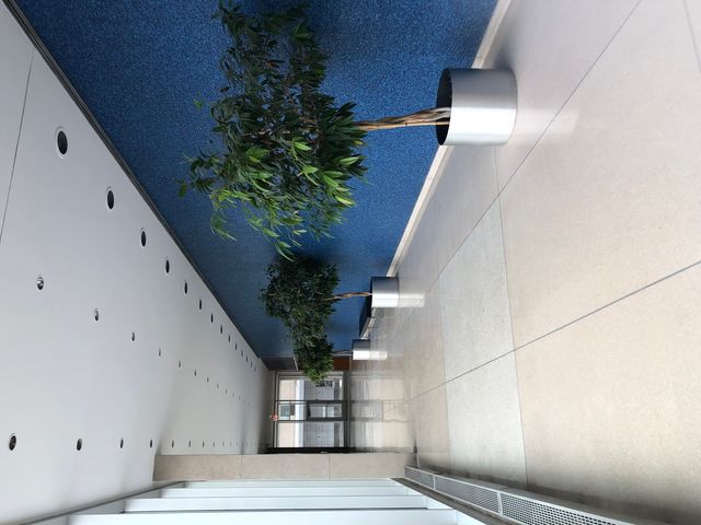 4800 S Chicago Beach Drive 2512N, Chicago, IL 60615