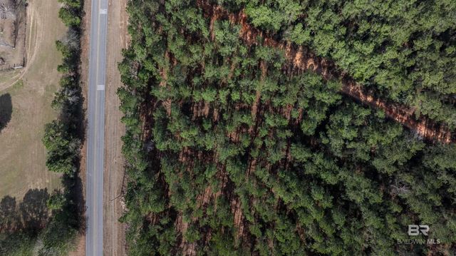 0 Cowpen Creek Road, Robertsdale, AL 36567