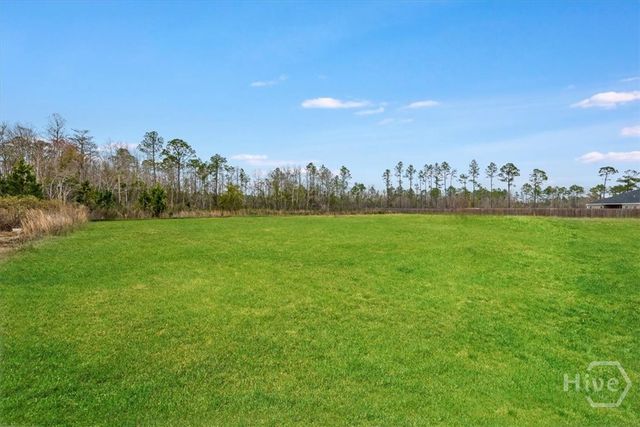 392 Akins Ranch Road NE, Ludowici, GA 31316