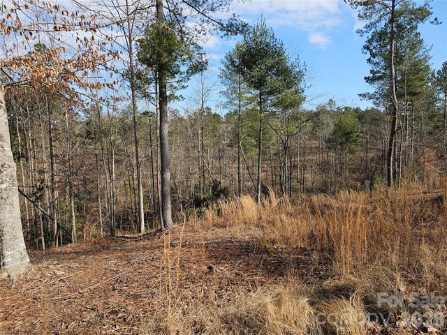 3318 Pyramid Peak Trail 212, Connelly Springs, NC 28612