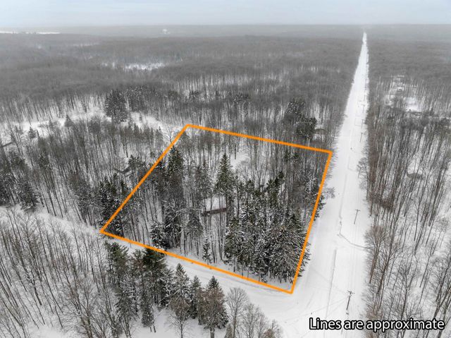 8460 NE Covert Road, Mancelona, MI 49659