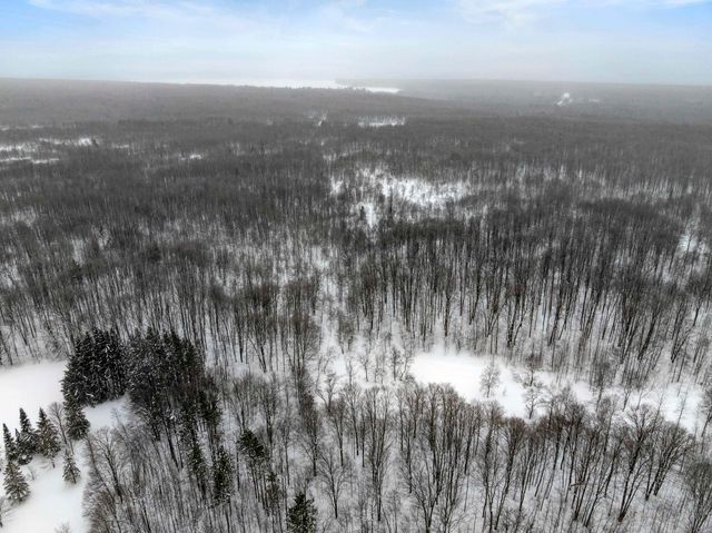 8460 NE Covert Road, Mancelona, MI 49659