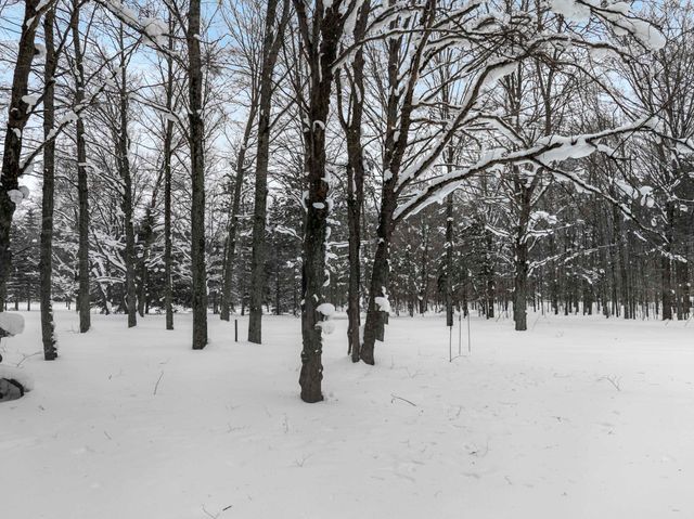 8460 NE Covert Road, Mancelona, MI 49659