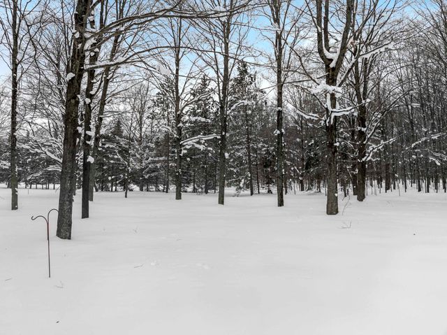 8460 NE Covert Road, Mancelona, MI 49659