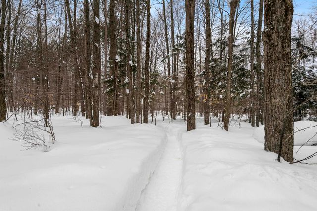 8460 NE Covert Road, Mancelona, MI 49659