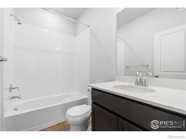 866 Mesic Lane, Windsor, CO 80550