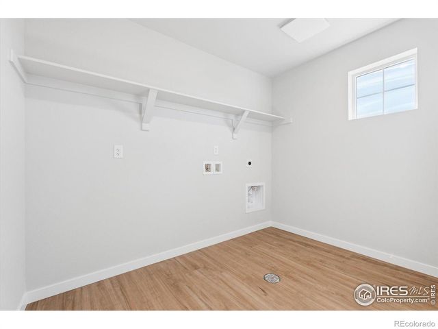 866 Mesic Lane, Windsor, CO 80550